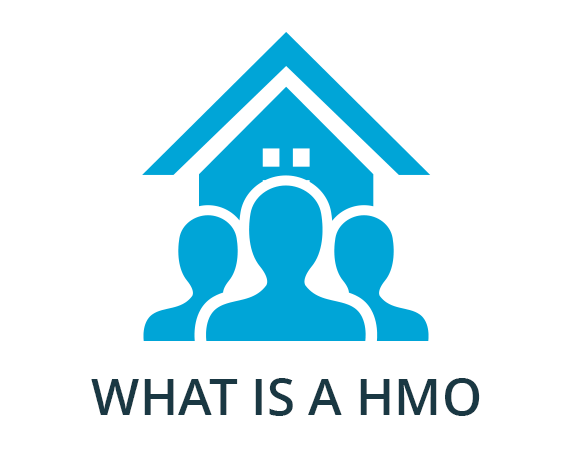 What Is a HMO